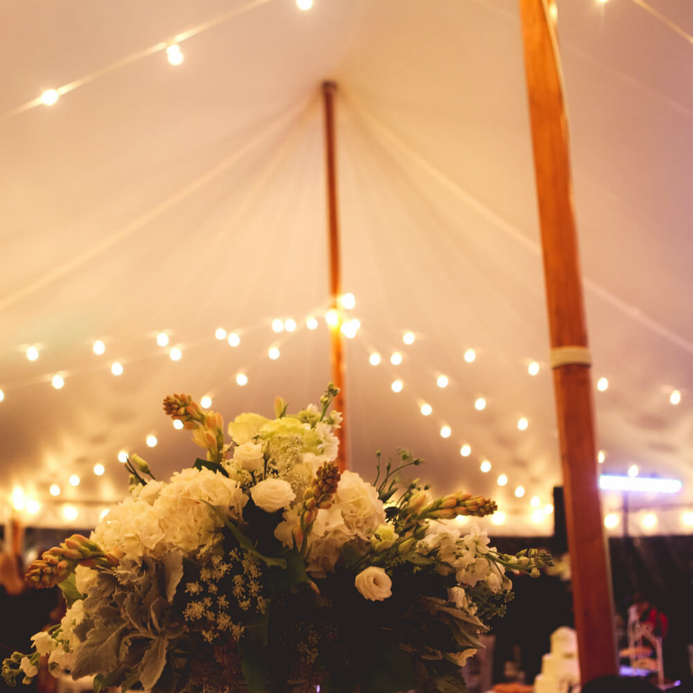 Bouquet of white flowers inside a tent with string lights