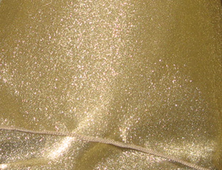 sparkley bronze colored shiny fabric