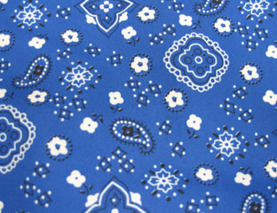 blue bandana pattern fabric
