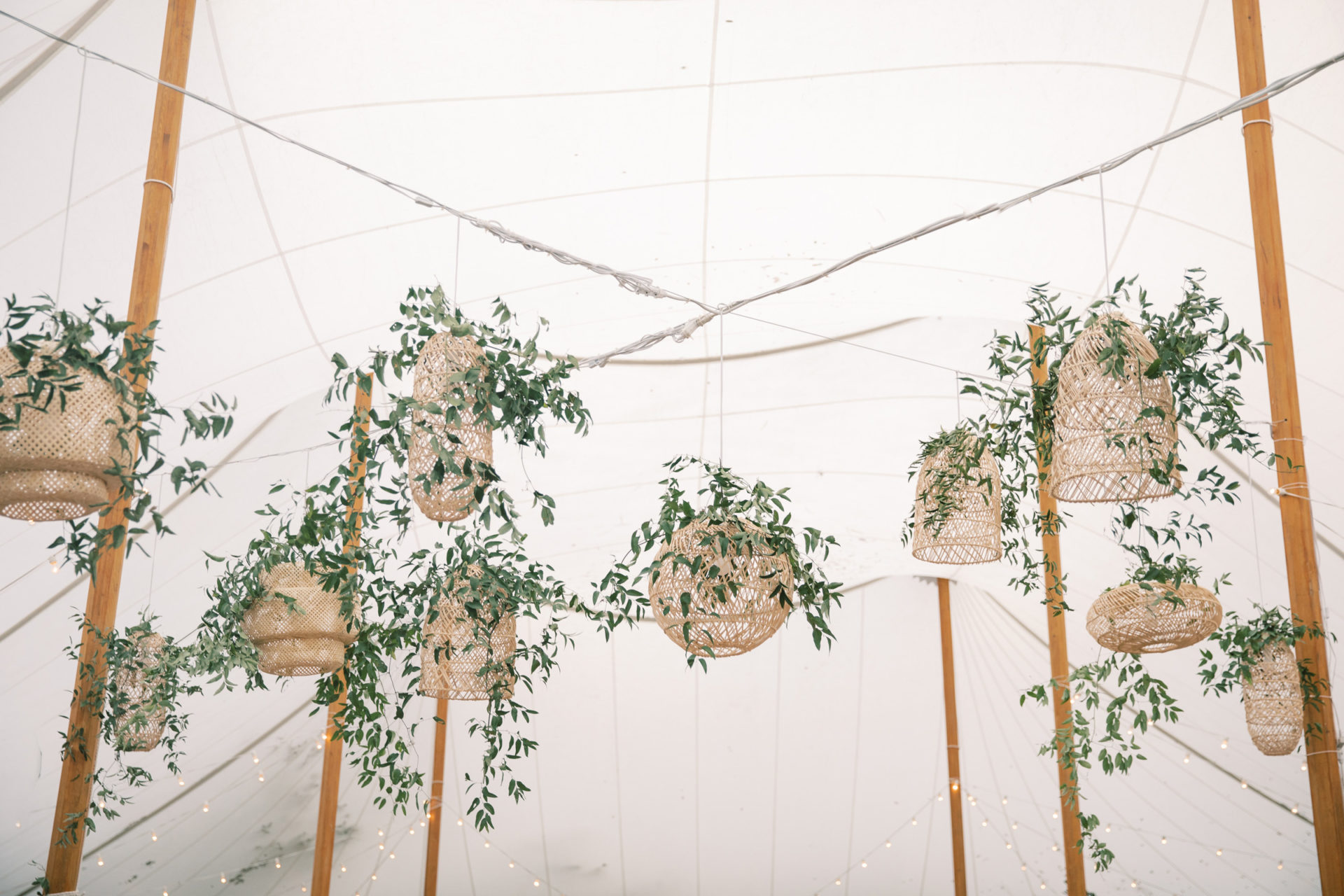 Large white tent with hanging plants